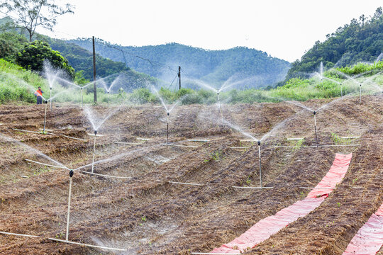 蔬菜种植基地喷灌系统