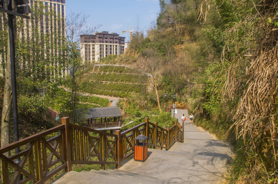 建瓯云际山栈道景观