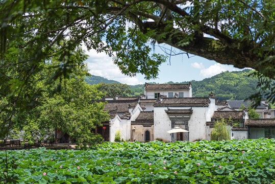 呈坎荷塘古建筑风光