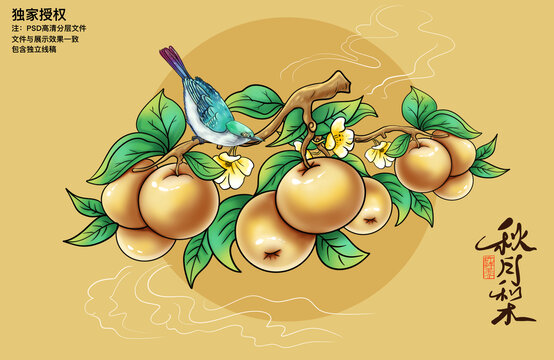秋月梨包裝插畫