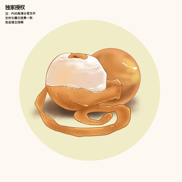 手繪秋月梨插畫