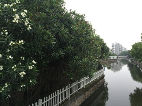 江南小景