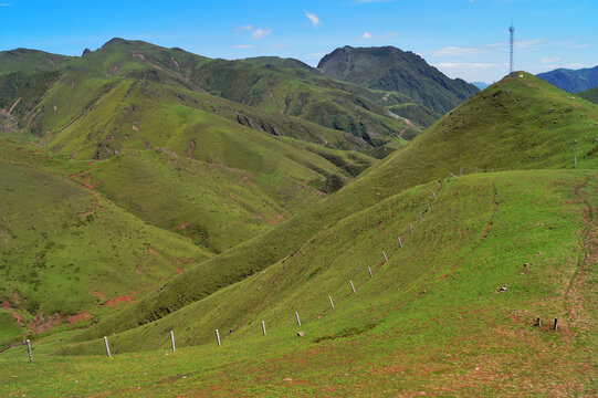 大海草山