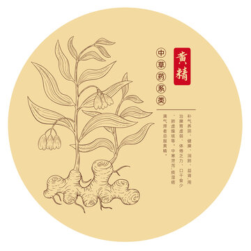 黃精版畫白描手繪