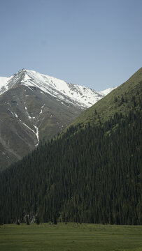 新疆夏塔冰川雪山森林草原