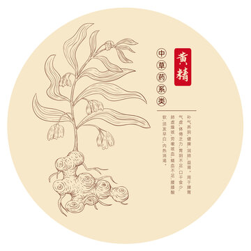 黃精插畫版畫白描