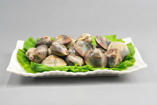 海鲜蛤蜊食材