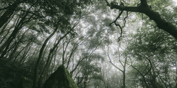 舟山群岛普陀山