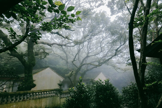 舟山群岛普陀山