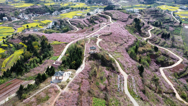 桃花山