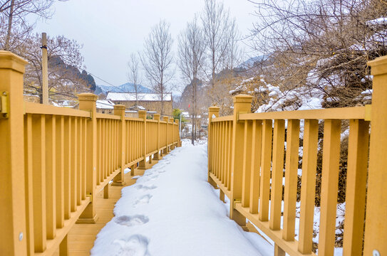 雪中栈道