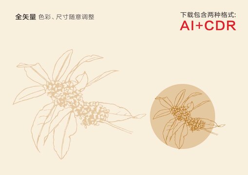 桂花手绘桂花剪影