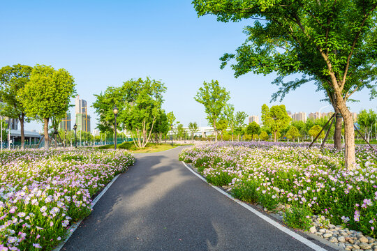 鲜花步道