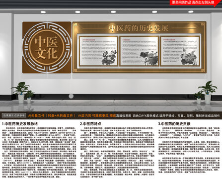 中醫(yī)發(fā)展史文化墻