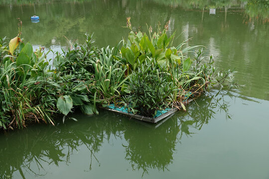 河道治污绿化浮岛