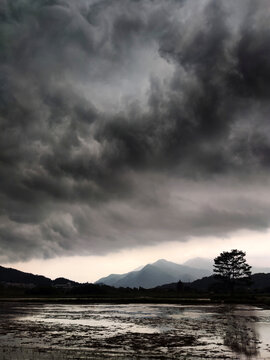 暴风雨