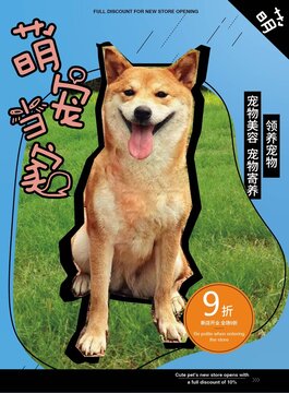 領(lǐng)養(yǎng)萌寵海報(bào)