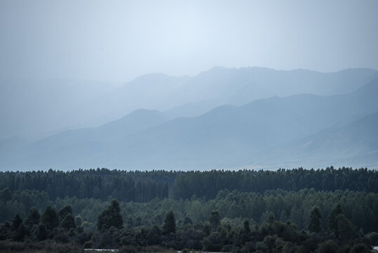 山雨