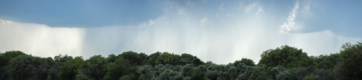 山雨