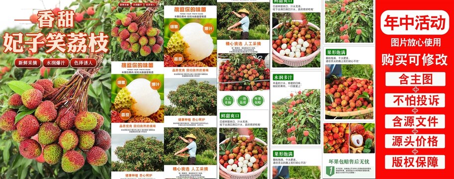 妃子笑荔枝詳情頁