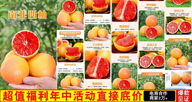 南非西柚詳情