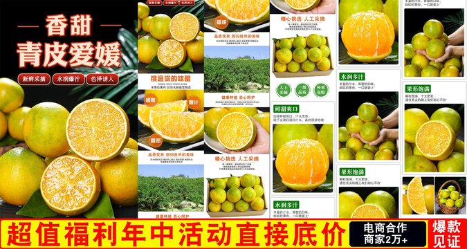 青皮愛媛詳情頁