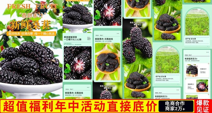桑葚詳情頁(yè)