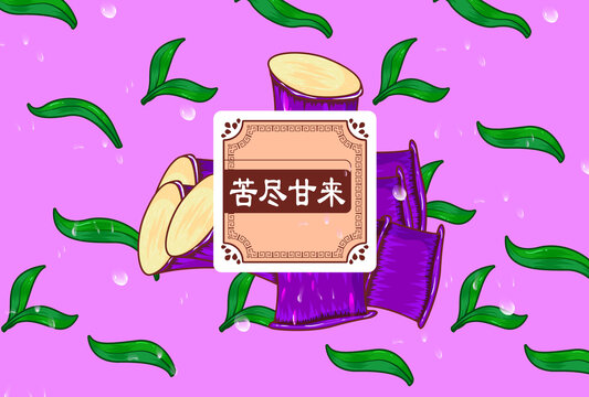 甘蔗水果包裝