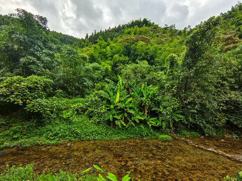 深山溪流