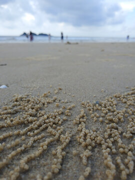 沙滩上砂粒