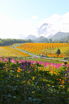 高山自然风光