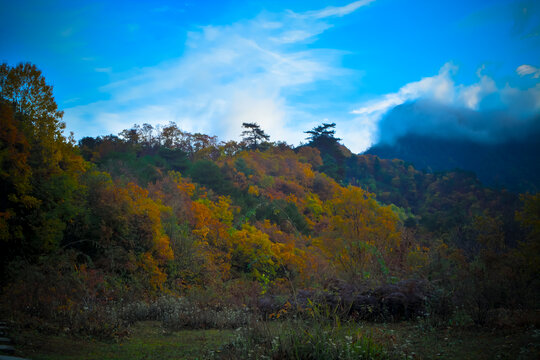 米仓山秋景