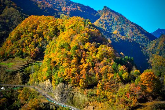 米仓山秋景