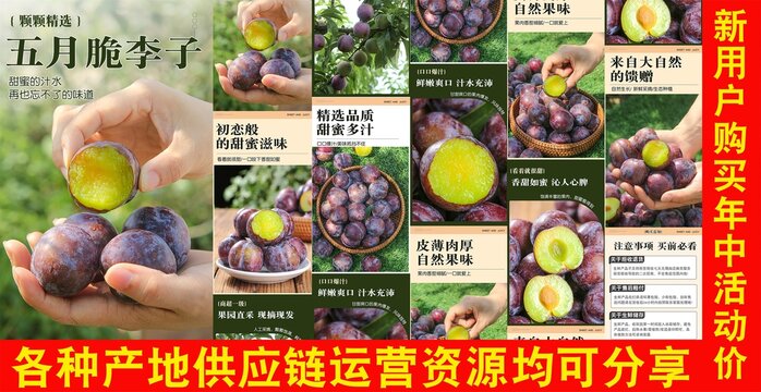 五月脆李詳情頁