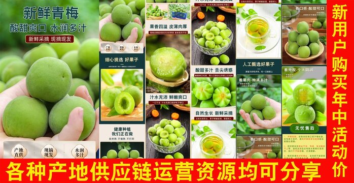 新鮮青梅詳情