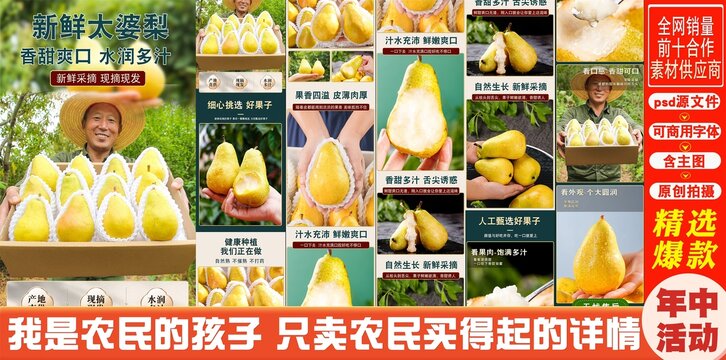 太婆梨詳情