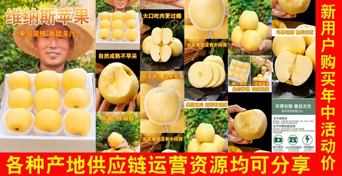 維納斯蘋果詳情頁