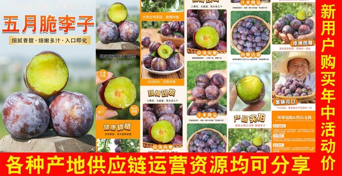 五月脆李子詳情頁