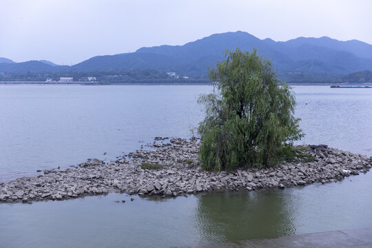 钱塘江滨江区