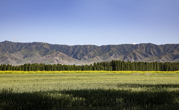 新疆喀拉峻草原风光