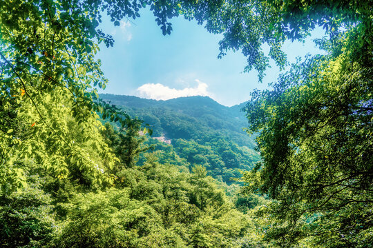 大别山自然风景