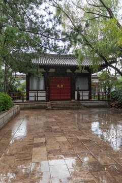 昆明世界园艺博览园雨中槐香园