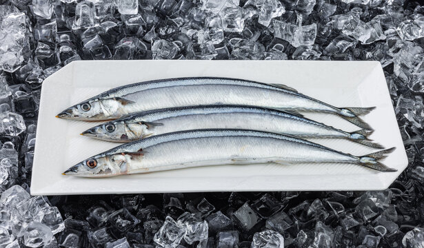 秋刀魚