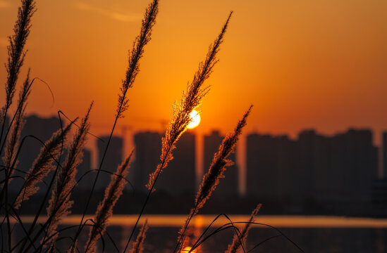 湖边城市日落风光