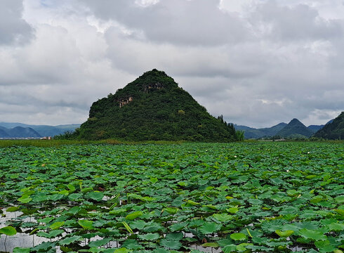 普者黑景区天鹅湖景点