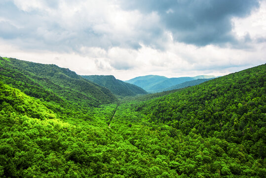 青山