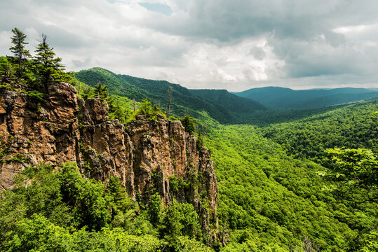 远山森林风景