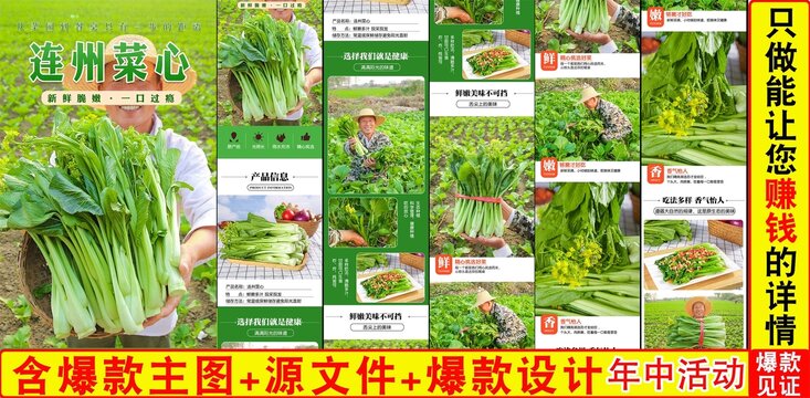 連州菜心詳情頁