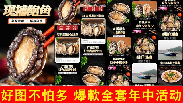 現捕鮑魚詳情