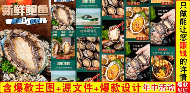 新鮮鮑魚詳情